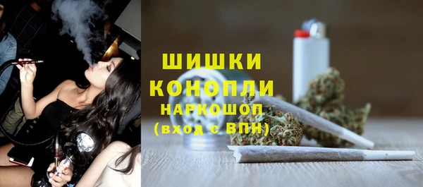 сатива Алзамай