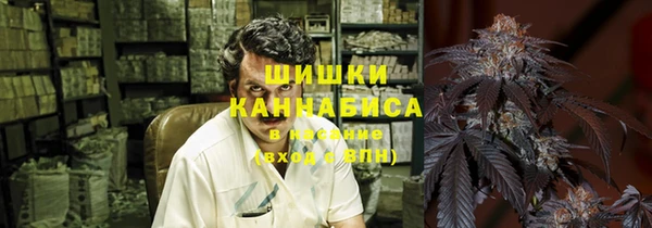 сатива Алзамай