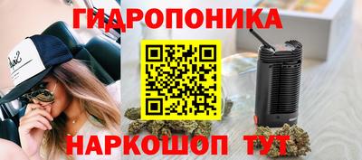 тгк Славянск-на-Кубани
