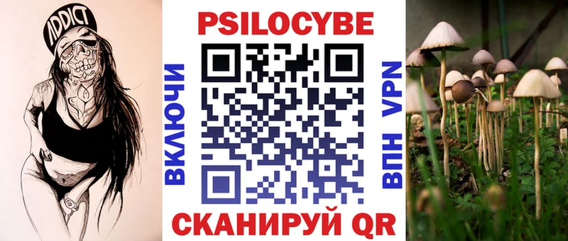 Галлюциногенные грибы GOLDEN TEACHER  где купить наркоту  Ставрополь 