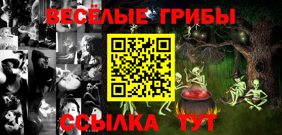 Галлюциногенные грибы прущие грибы Ставрополь
