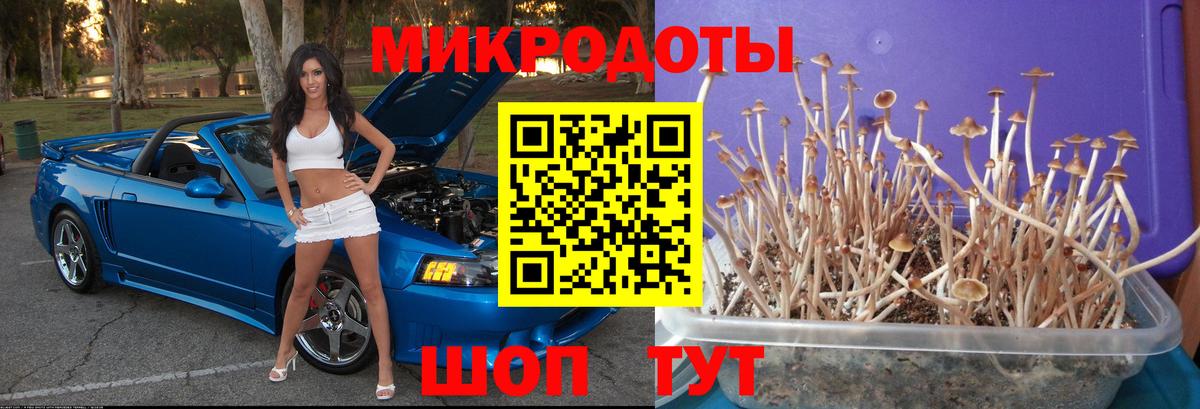 Ставрополь  Псилоцибиновые грибы ЛСД  Галлюциногенные грибы MAGIC MUSHROOMS  Вход с VPN 