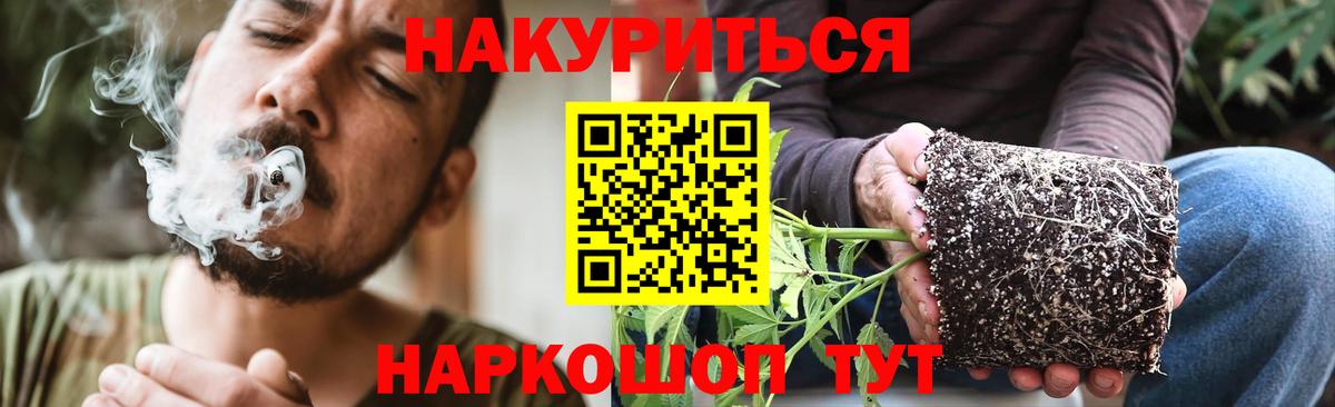 Бошки марихуана план  Канабис White Widow  Шишки марихуана конопля  Ставрополь  Вход с VPN 